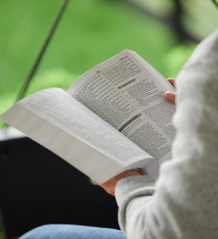 Life Principles Daily Bible