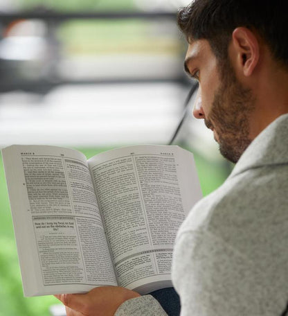 Life Principles Daily Bible